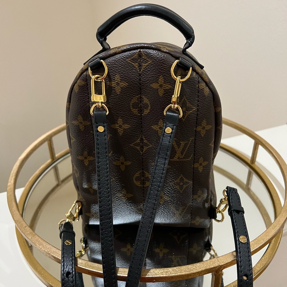 Louis Vuitton Palm Spring Mini - Picture 2 of 5